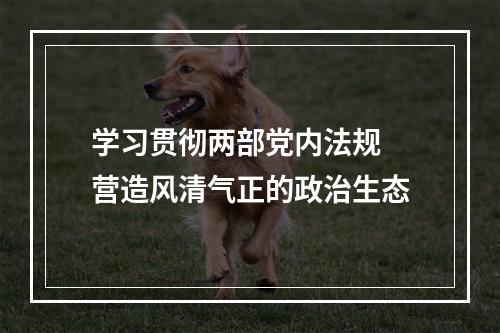 学习贯彻两部党内法规 营造风清气正的政治生态