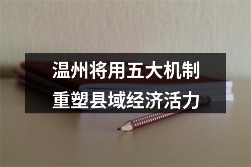 温州将用五大机制重塑县域经济活力