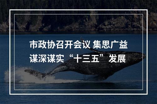 市政协召开会议 集思广益谋深谋实“十三五”发展