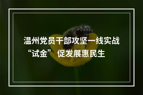 温州党员干部攻坚一线实战“试金” 促发展惠民生