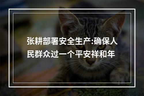 张耕部署安全生产:确保人民群众过一个平安祥和年