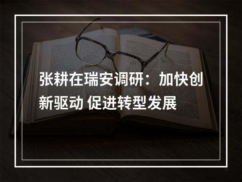 张耕在瑞安调研：加快创新驱动 促进转型发展