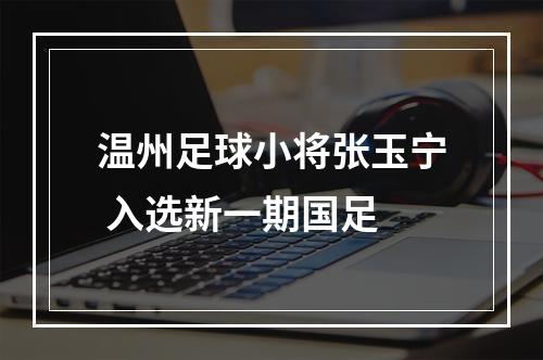 温州足球小将张玉宁 入选新一期国足