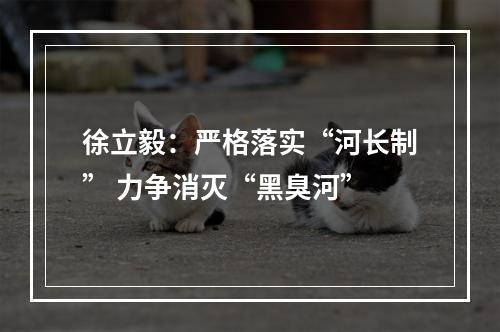 徐立毅：严格落实“河长制” 力争消灭“黑臭河”