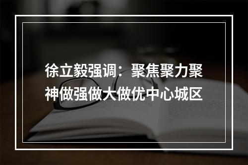 徐立毅强调：聚焦聚力聚神做强做大做优中心城区