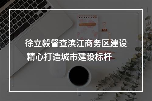 徐立毅督查滨江商务区建设 精心打造城市建设标杆