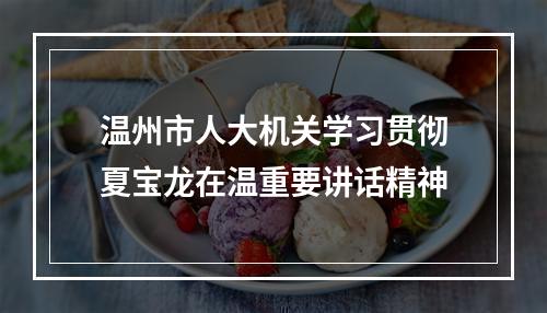 温州市人大机关学习贯彻夏宝龙在温重要讲话精神