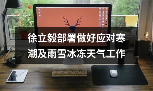 徐立毅部署做好应对寒潮及雨雪冰冻天气工作