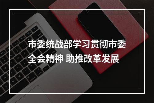 市委统战部学习贯彻市委全会精神 助推改革发展