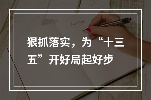 狠抓落实，为“十三五”开好局起好步