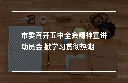 市委召开五中全会精神宣讲动员会 掀学习贯彻热潮