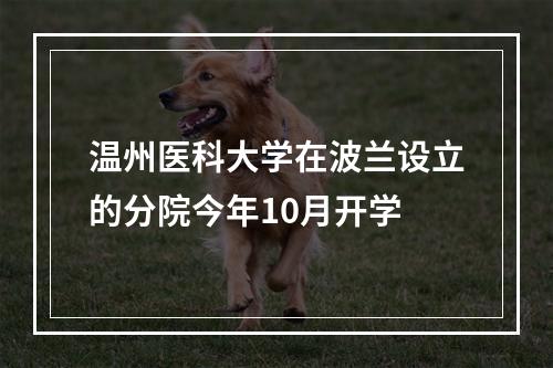 温州医科大学在波兰设立的分院今年10月开学