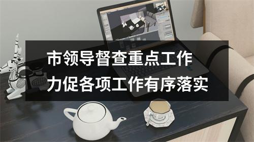 市领导督查重点工作 力促各项工作有序落实