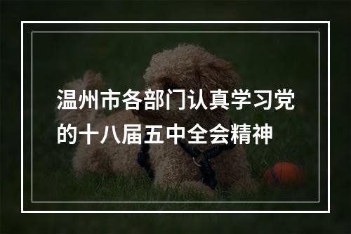 温州市各部门认真学习党的十八届五中全会精神