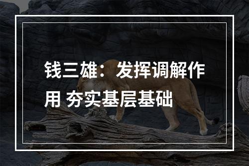 钱三雄：发挥调解作用 夯实基层基础