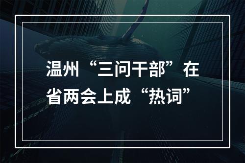 温州“三问干部”在省两会上成“热词”