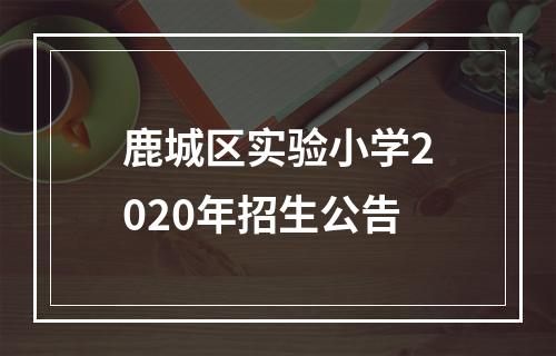 鹿城区实验小学2020年招生公告