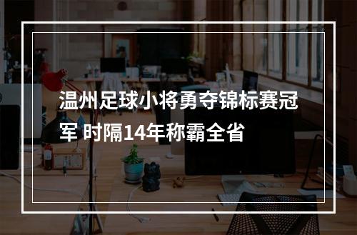 温州足球小将勇夺锦标赛冠军 时隔14年称霸全省