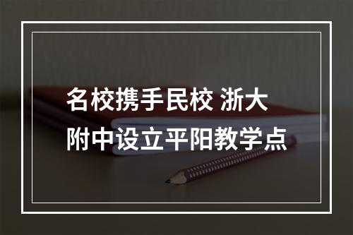 名校携手民校 浙大附中设立平阳教学点