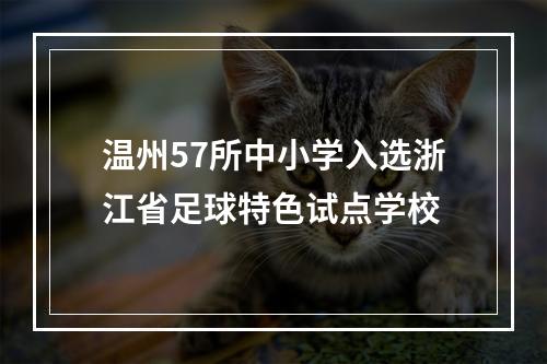 温州57所中小学入选浙江省足球特色试点学校