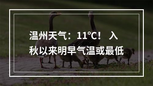 温州天气：11℃！ 入秋以来明早气温或最低