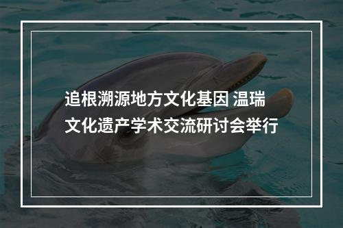 追根溯源地方文化基因 温瑞文化遗产学术交流研讨会举行