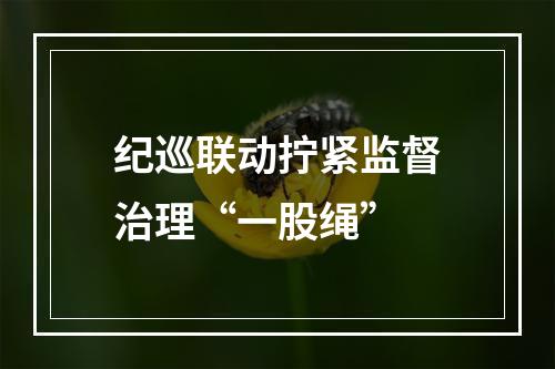 纪巡联动拧紧监督治理“一股绳”