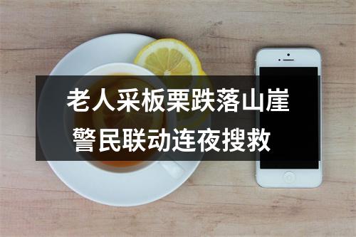 老人采板栗跌落山崖 警民联动连夜搜救