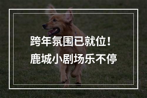 跨年氛围已就位！鹿城小剧场乐不停