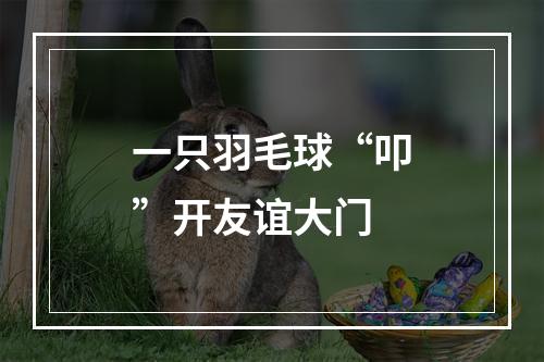 一只羽毛球“叩”开友谊大门