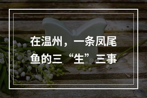 在温州，一条凤尾鱼的三“生”三事