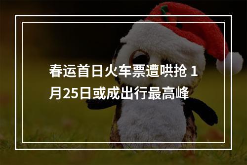 春运首日火车票遭哄抢 1月25日或成出行最高峰