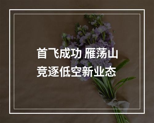 首飞成功 雁荡山竞逐低空新业态