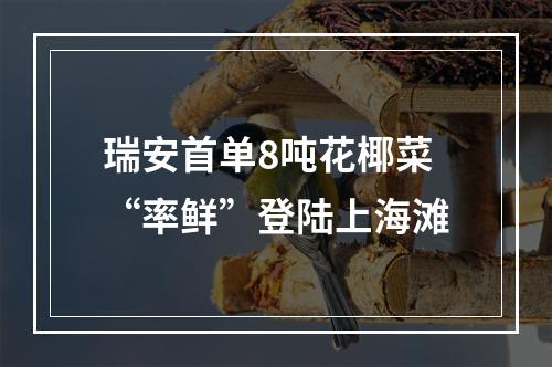 瑞安首单8吨花椰菜“率鲜”登陆上海滩