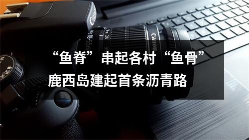 “鱼脊”串起各村“鱼骨” 鹿西岛建起首条沥青路