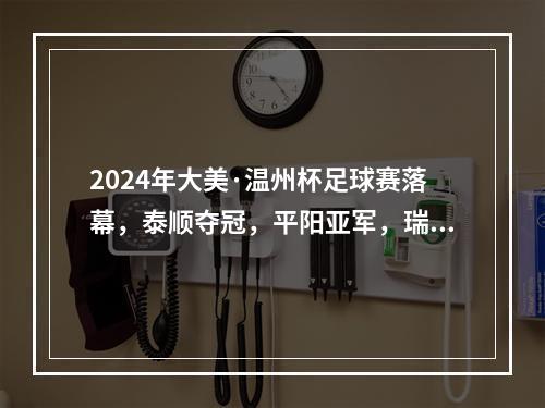 2024年大美·温州杯足球赛落幕，泰顺夺冠，平阳亚军，瑞安季军！