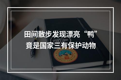 田间散步发现漂亮“鸭” 竟是国家三有保护动物