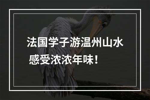 法国学子游温州山水 感受浓浓年味！