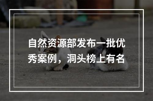 自然资源部发布一批优秀案例，洞头榜上有名