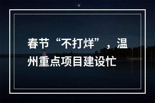 春节“不打烊”，温州重点项目建设忙