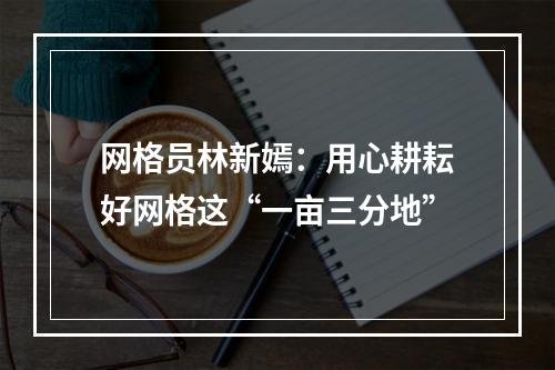网格员林新嫣：用心耕耘好网格这“一亩三分地”