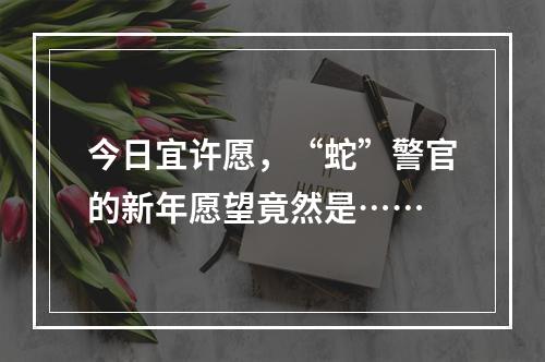 今日宜许愿，“蛇”警官的新年愿望竟然是……