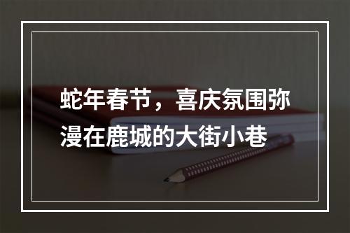 蛇年春节，喜庆氛围弥漫在鹿城的大街小巷