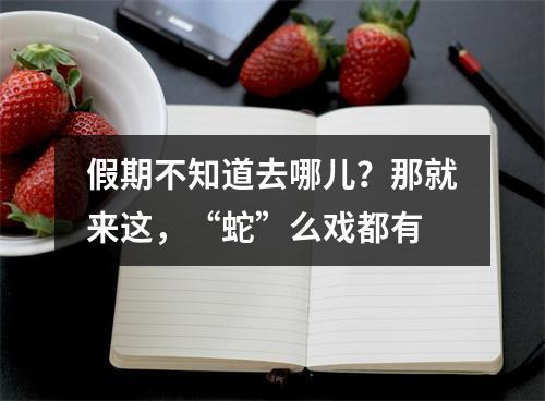 假期不知道去哪儿？那就来这，“蛇”么戏都有