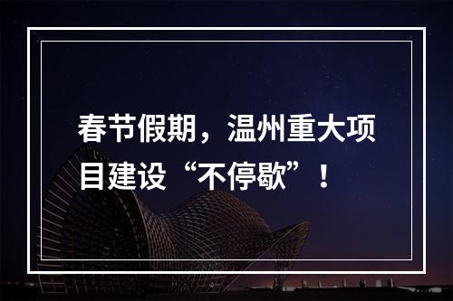 春节假期，温州重大项目建设“不停歇”！