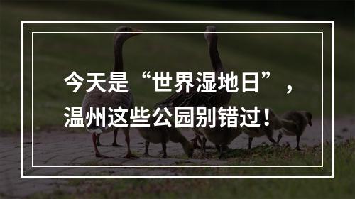 今天是“世界湿地日”，温州这些公园别错过！