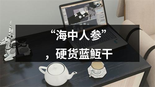 “海中人参”，硬货蓝魱干