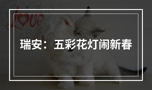 瑞安：五彩花灯闹新春