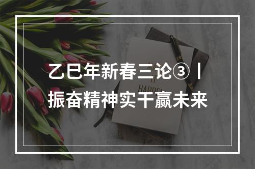 乙巳年新春三论③丨振奋精神实干赢未来