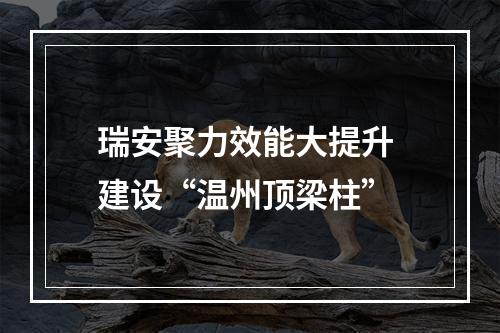 瑞安聚力效能大提升 建设“温州顶梁柱”